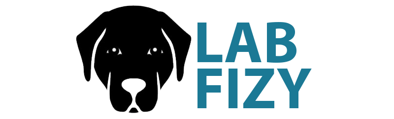 labfizy logo