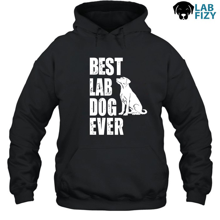 Best Lab Dog Ever Shirt, Hoodie, Sweatshirt 3 Best lab dog ever Hoodie