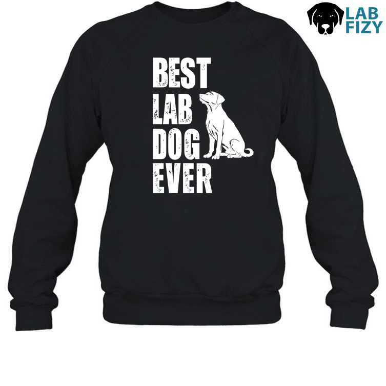 Best Lab Dog Ever Shirt, Hoodie, Sweatshirt 4 Best lab dog ever Sweatshirt