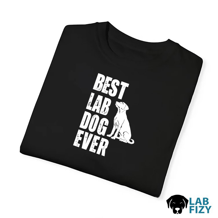Best Lab Dog Ever Shirt, Hoodie, Sweatshirt 5 Best lab dog ever shirt 3
