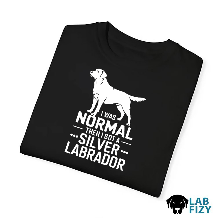 I Was Normal Then I Got A Silver Labrador Shirt, Hoodie, Sweatshirt 5 i was normal then i got a silver labrador 4