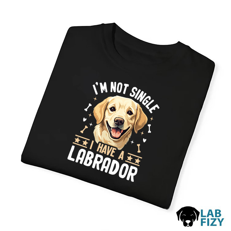 Top 50+ Birthday Gift Ideas For Wife That She'll Truly Adore 7 im not single i have a labrador 4