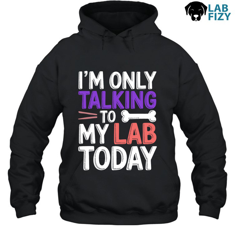 Im Only Talking To My Lab Today Shirt, Hoodie, Sweatshirt 3 im only talking to my lab today 2