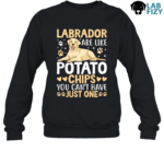 labrador are like potato chips you cant have just one 3