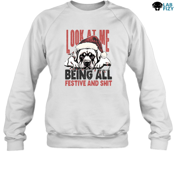 look at me being all festive and shit Labrador Sweatshirt