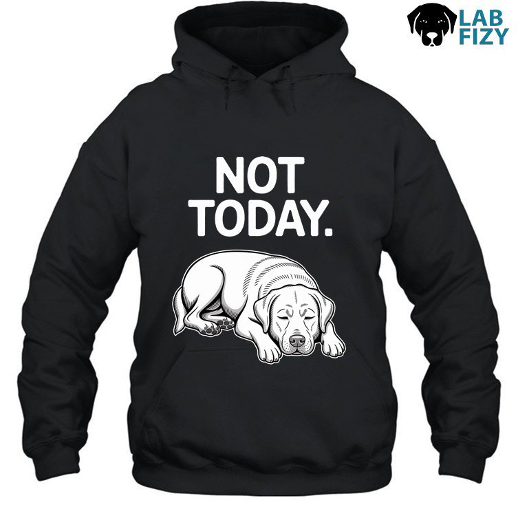 Not Today Labrador Shirt, Hoodie, Sweatshirt 3 not today 2