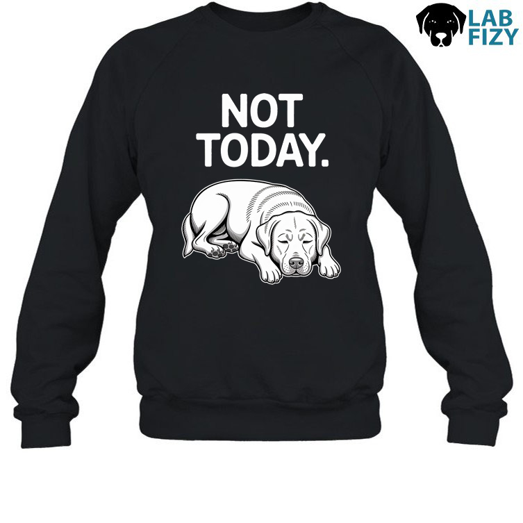 Not Today Labrador Shirt, Hoodie, Sweatshirt 4 not today 3