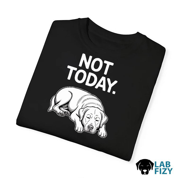 Not Today Labrador Shirt, Hoodie, Sweatshirt 5 not today 4