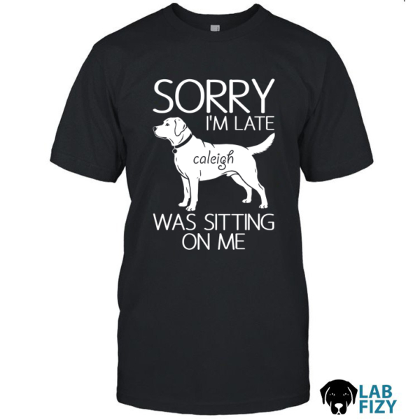 sorry im late labrador was sitting on me