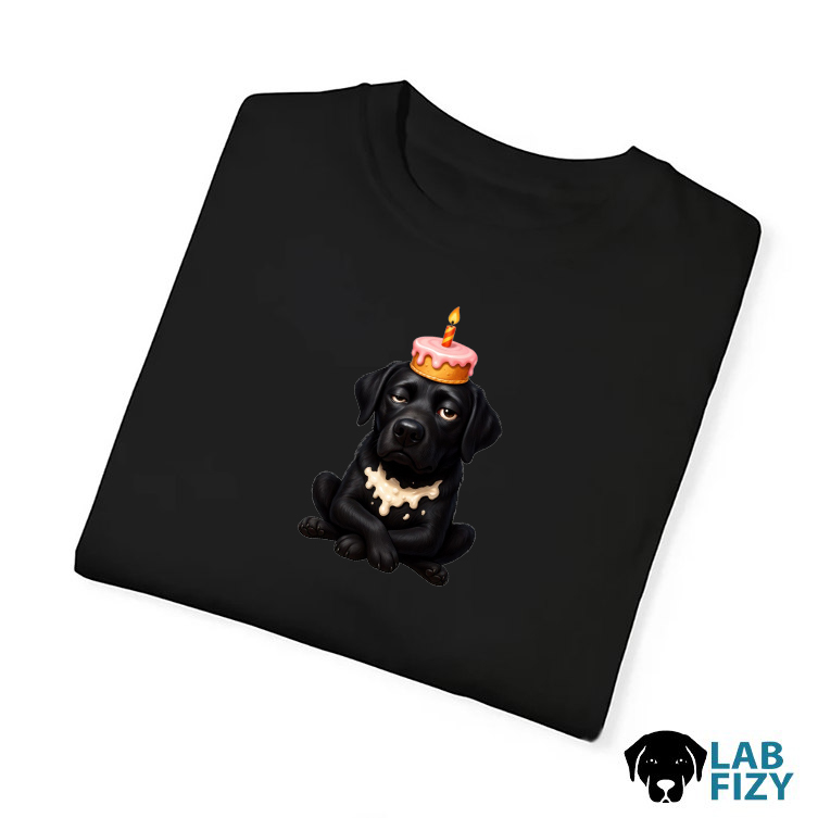 Black Lab Birthday Fail Shirt, Hoodie, Sweatshirt 6 Black Lab Birthday Fail Shirt 3