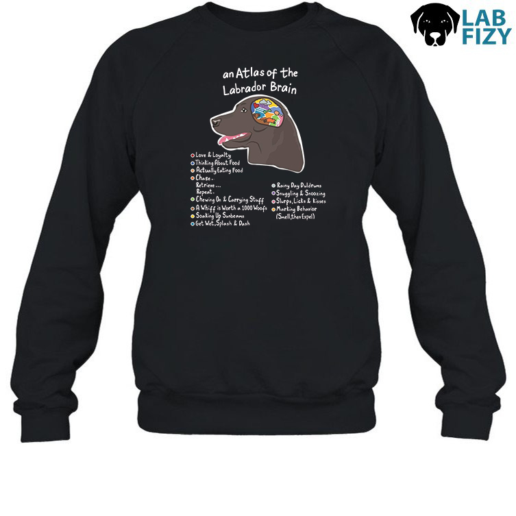 Labrador Brain Dog Enthusiast Quote Shirt, Hoodie, Sweatshirt 3 Labrador Brain Dog Enthusiast Quote Sweatshirt